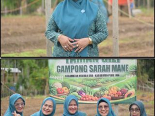 TP-PKK Aceh Giat di Pidie Jaya, Perhatikan Gammawar Sarah Mane