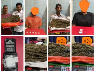 Sepekan, Satresnarkoba Polres Pidie Jaya Ungkap Empat Kasus Narkotika, Sabu dan Ganja Disita