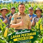 Dipercaya Bupati Sibral Malasyi, Muhammad Nur Hadapi Tantangan Pulihkan Pertanian Pidie Jaya Pascabanjir