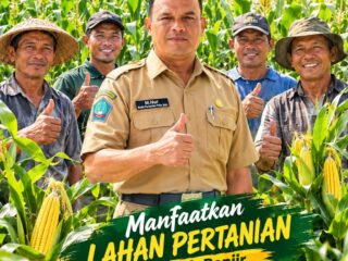 Dipercaya Bupati Sibral Malasyi, Muhammad Nur Hadapi Tantangan Pulihkan Pertanian Pidie Jaya Pascabanjir